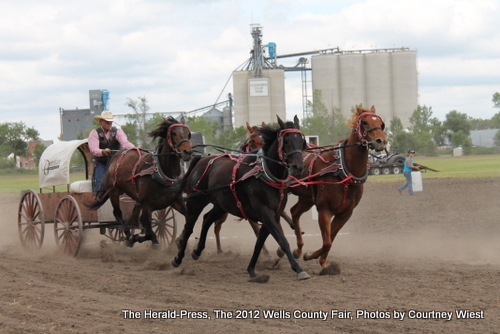 Chuckwagon Race Image