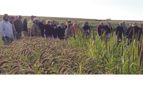 Cover Crop Tour Image