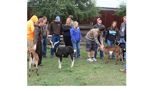 Farm to School Image