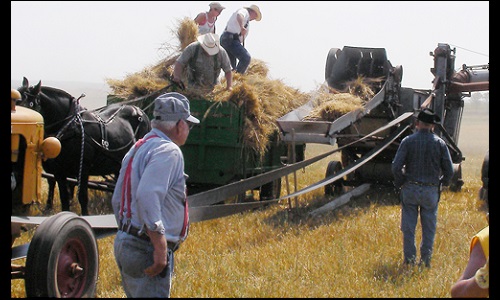 Eichele threshing bee Image