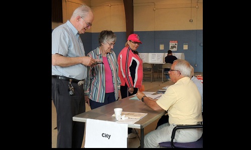 Voters at polls Image