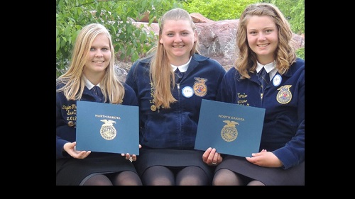 FB FFA 2013 Image