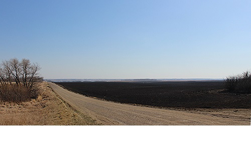Fire at Lonetree Image