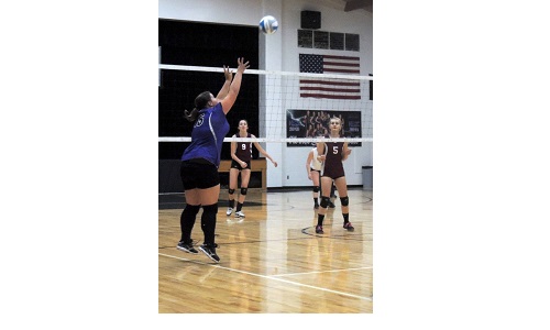 HWC Volleyball Image