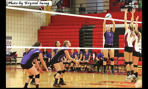 HWC Volleyball Image