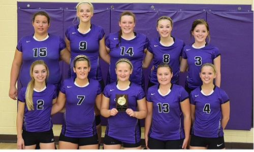 HWC Volleyball Image