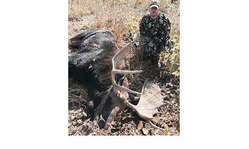Moose near Martin Image
