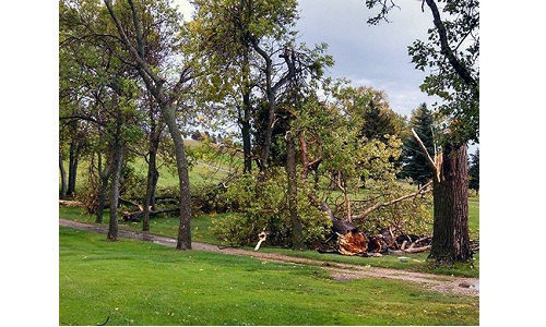 Storm at Harvey Golf Course Image