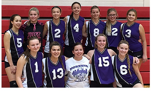 Hornets C Squad Image