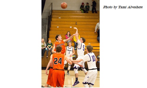 Hornets basketball Image