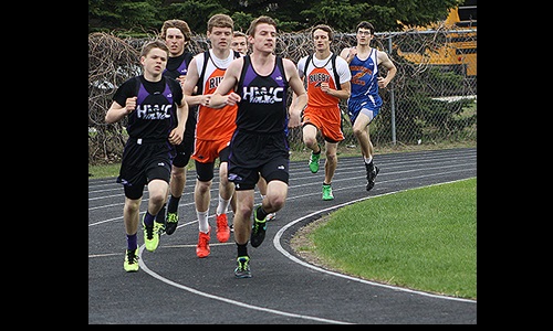 Hornets in 800 meters Image