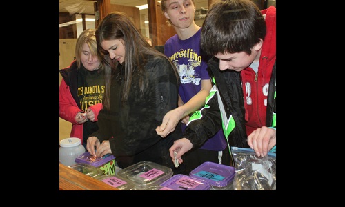 Penny War Image