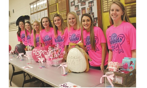 Pink Out for breast cancer awareness-10.22.16 Image
