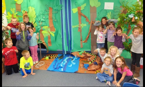 Rainforest Image