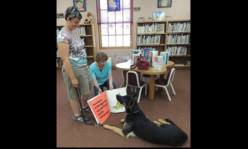 Harvey Library Image