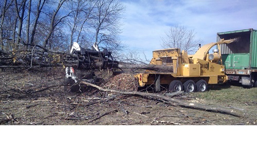 Windbreak Renovation Image
