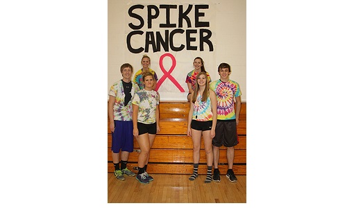 Volleyball Relay for Life Image