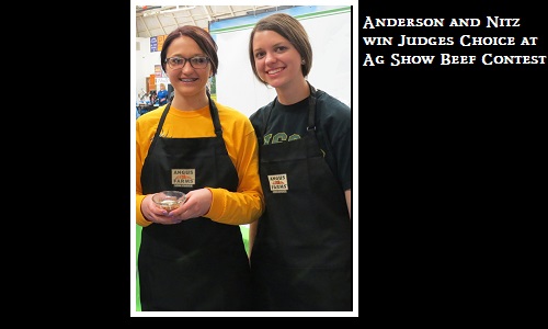 County Ag Show Image