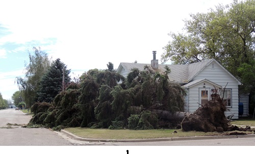 Storm Damage Image