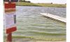 Algae in Harvey Reservoire Image