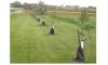 Anamoose supports tree planting-Oct. 15 2016 issue Image