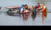 Bowdon Ambulance Water Rescue Image