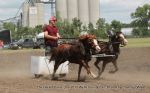 Chariot Race Image