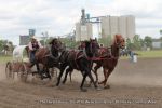 Chuckwagon Race Image