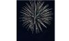 Fireworks at BBQ Blast Image