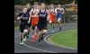 Hornets in 800 meters Image