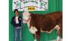 Schmitz with Reserve Champion Image
