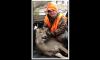 Tyler Backen Image
